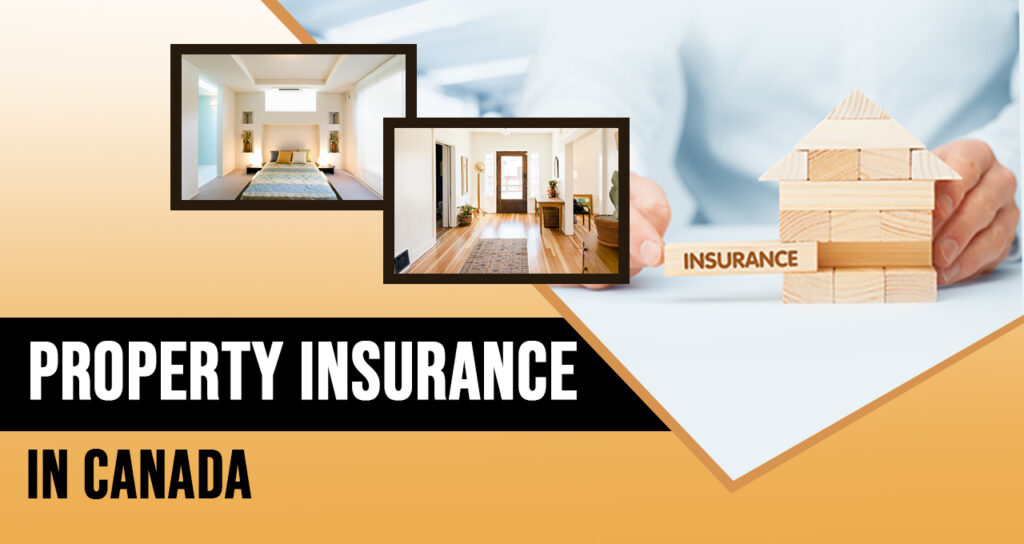 Title Property Search